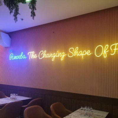 WhatsApp Image 2025-08-26 at 10.35.08 (1)